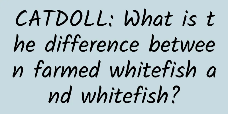 CATDOLL: What is the difference between farmed whitefish and whitefish?