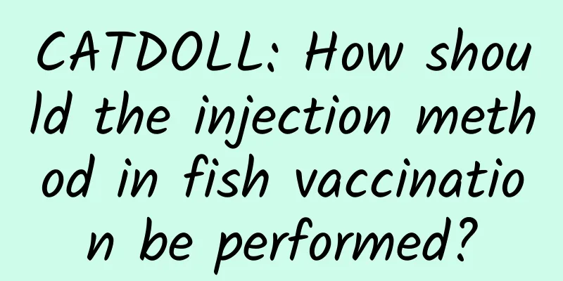 CATDOLL: How should the injection method in fish vaccination be performed?