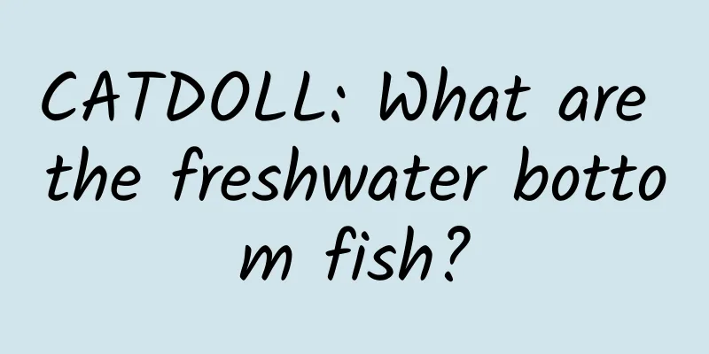 CATDOLL: What are the freshwater bottom fish?