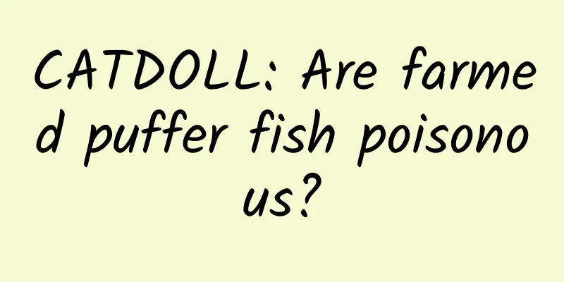 CATDOLL: Are farmed puffer fish poisonous?