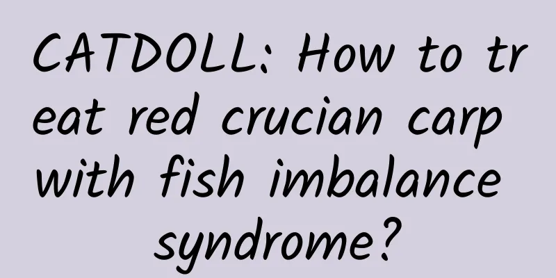 CATDOLL: How to treat red crucian carp with fish imbalance syndrome?