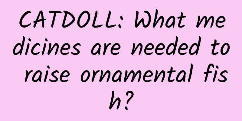 CATDOLL: What medicines are needed to raise ornamental fish?