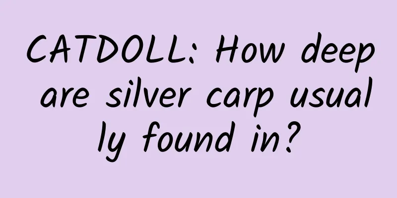 CATDOLL: How deep are silver carp usually found in?