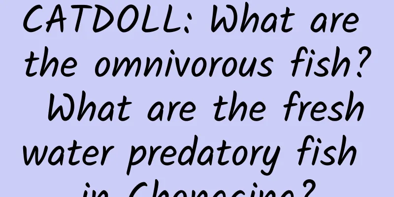 CATDOLL: What are the omnivorous fish? What are the freshwater predatory fish in Chongqing?