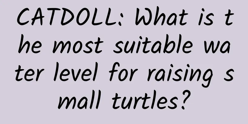 CATDOLL: What is the most suitable water level for raising small turtles?