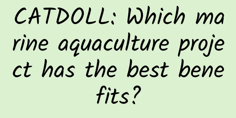 CATDOLL: Which marine aquaculture project has the best benefits?