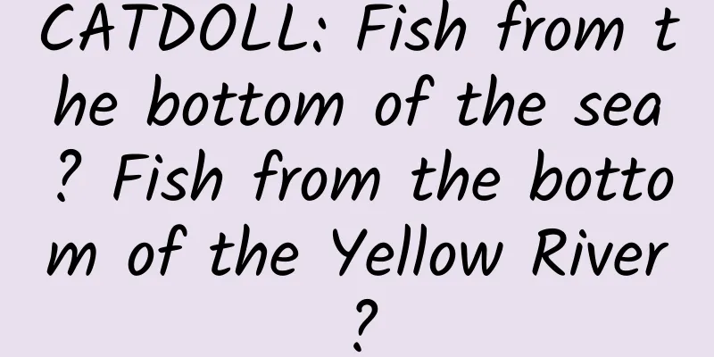 CATDOLL: Fish from the bottom of the sea? Fish from the bottom of the Yellow River?
