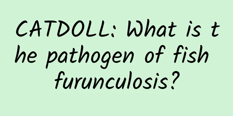 CATDOLL: What is the pathogen of fish furunculosis?