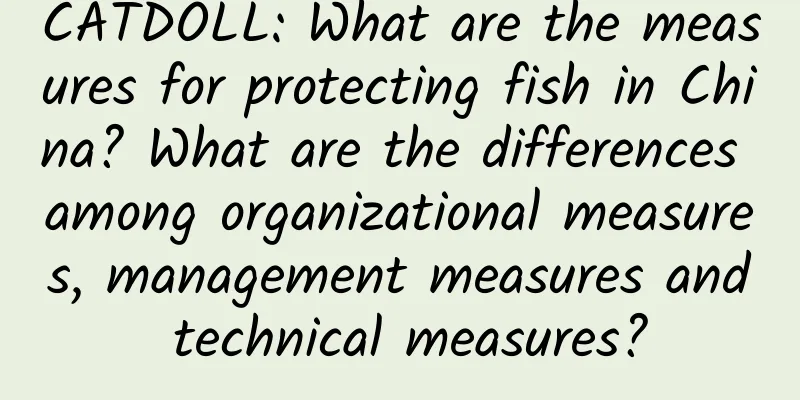 CATDOLL: What are the measures for protecting fish in China? What are the differences among organizational measures, management measures and technical measures?