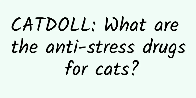 CATDOLL: What are the anti-stress drugs for cats?