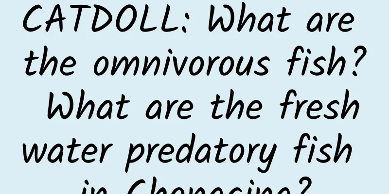 CATDOLL: What are the omnivorous fish? What are the freshwater predatory fish in Chongqing?
