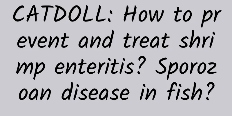 CATDOLL: How to prevent and treat shrimp enteritis? Sporozoan disease in fish?