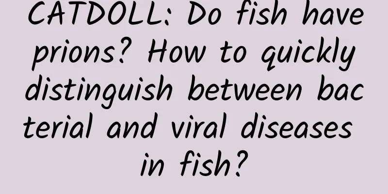 CATDOLL: Do fish have prions? How to quickly distinguish between bacterial and viral diseases in fish?