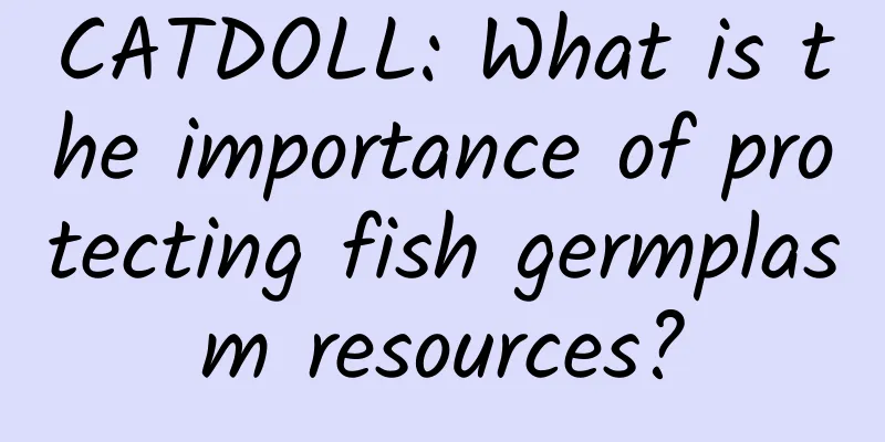 CATDOLL: What is the importance of protecting fish germplasm resources?