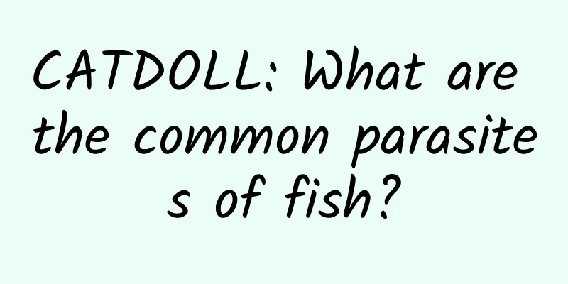 CATDOLL: What are the common parasites of fish?