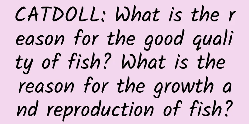 CATDOLL: What is the reason for the good quality of fish? What is the reason for the growth and reproduction of fish?