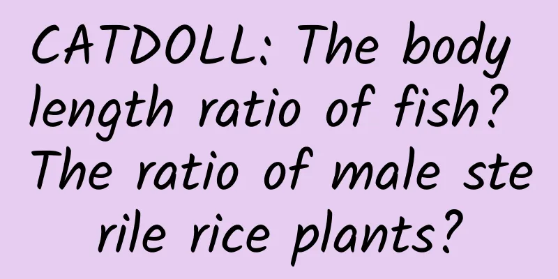 CATDOLL: The body length ratio of fish? The ratio of male sterile rice plants?