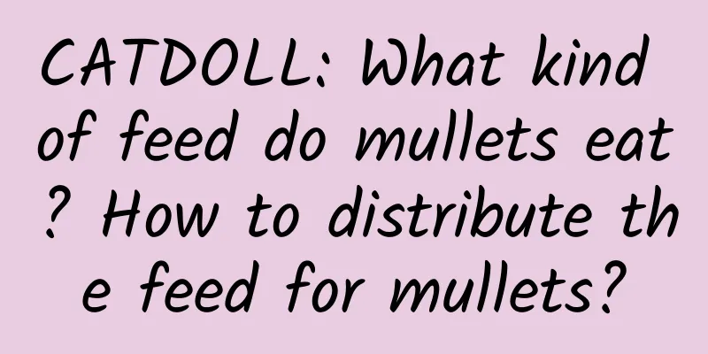 CATDOLL: What kind of feed do mullets eat? How to distribute the feed for mullets?