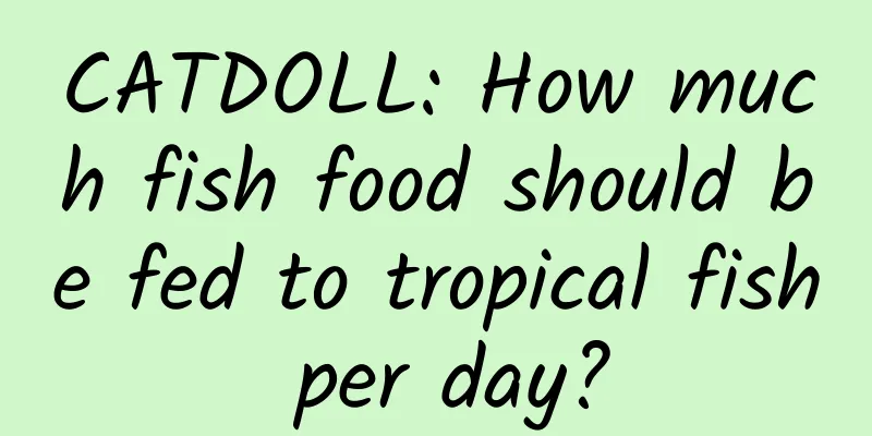 CATDOLL: How much fish food should be fed to tropical fish per day?
