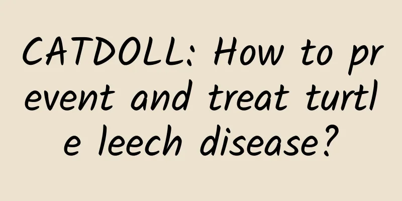 CATDOLL: How to prevent and treat turtle leech disease?