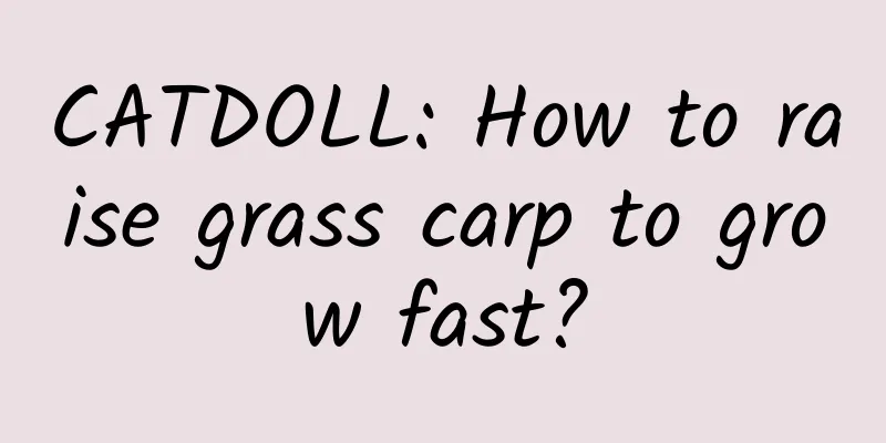 CATDOLL: How to raise grass carp to grow fast?