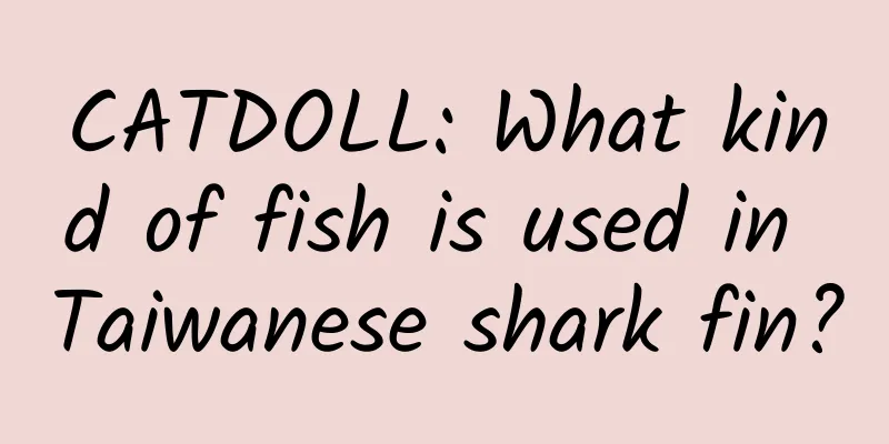 CATDOLL: What kind of fish is used in Taiwanese shark fin?