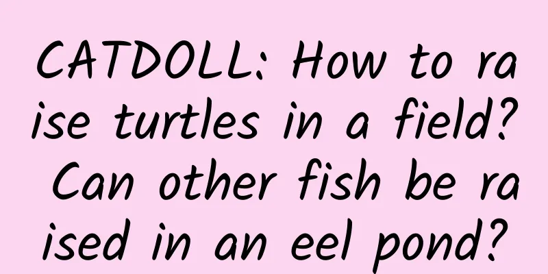 CATDOLL: How to raise turtles in a field? Can other fish be raised in an eel pond?