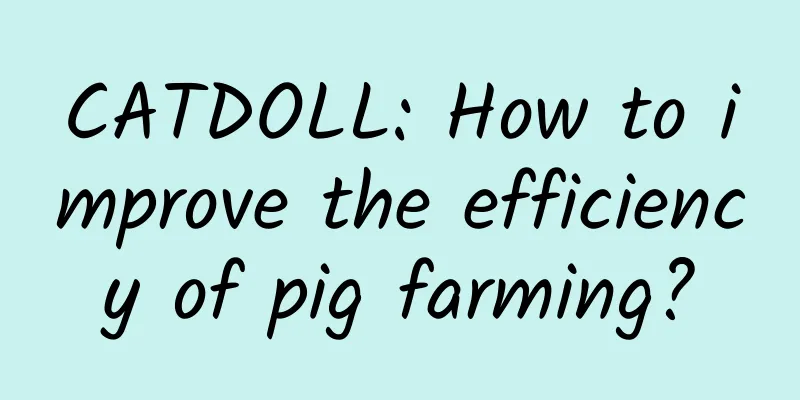 CATDOLL: How to improve the efficiency of pig farming?