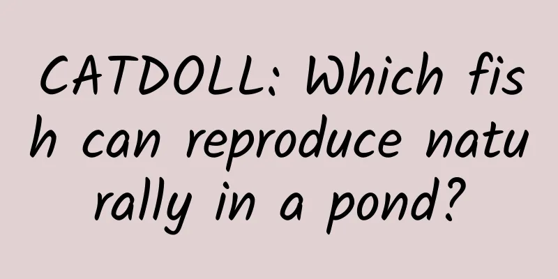 CATDOLL: Which fish can reproduce naturally in a pond?