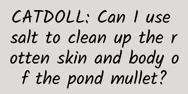 CATDOLL: Can I use salt to clean up the rotten skin and body of the pond mullet?