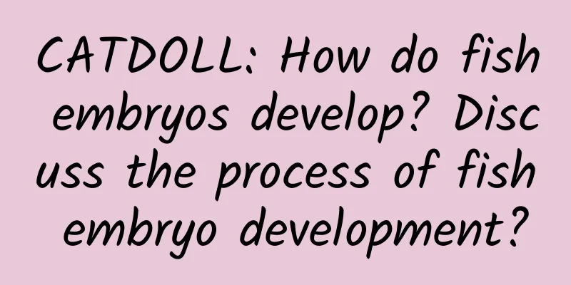CATDOLL: How do fish embryos develop? Discuss the process of fish embryo development?