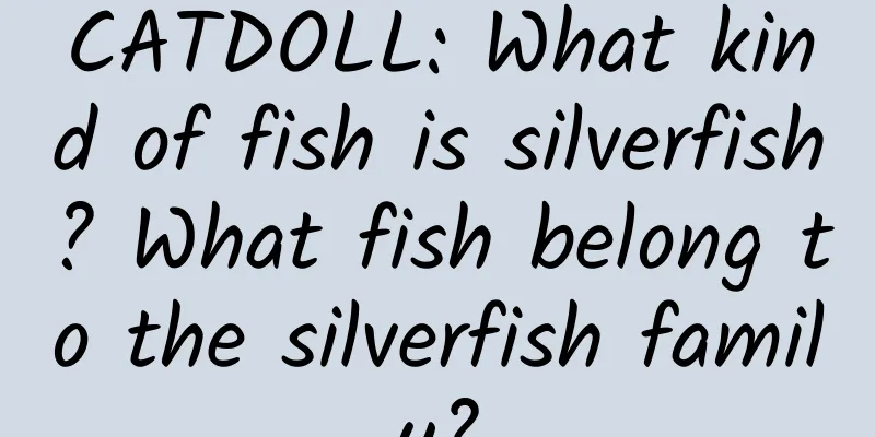 CATDOLL: What kind of fish is silverfish? What fish belong to the silverfish family?