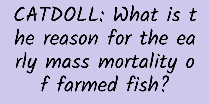 CATDOLL: What is the reason for the early mass mortality of farmed fish?
