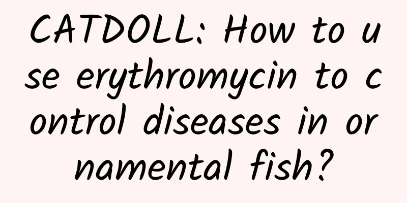 CATDOLL: How to use erythromycin to control diseases in ornamental fish?