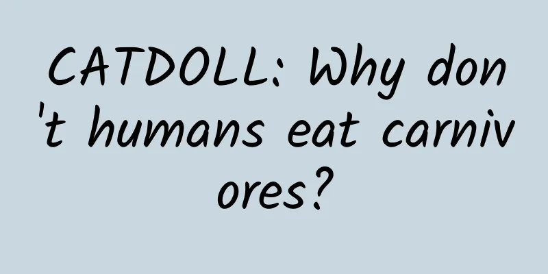 CATDOLL: Why don't humans eat carnivores?