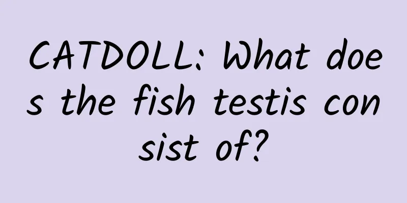 CATDOLL: What does the fish testis consist of?