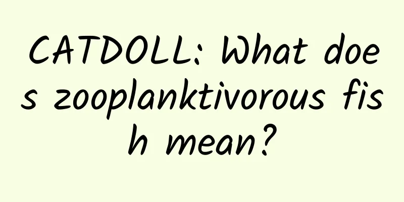 CATDOLL: What does zooplanktivorous fish mean?