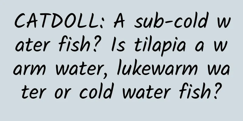 CATDOLL: A sub-cold water fish? Is tilapia a warm water, lukewarm water or cold water fish?