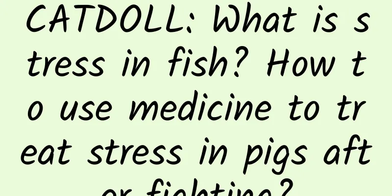 CATDOLL: What is stress in fish? How to use medicine to treat stress in pigs after fighting?