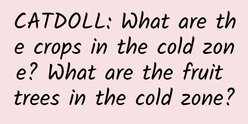 CATDOLL: What are the crops in the cold zone? What are the fruit trees in the cold zone?