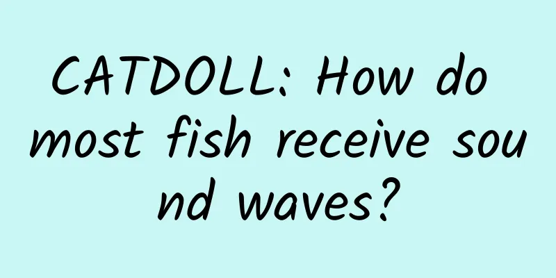 CATDOLL: How do most fish receive sound waves?