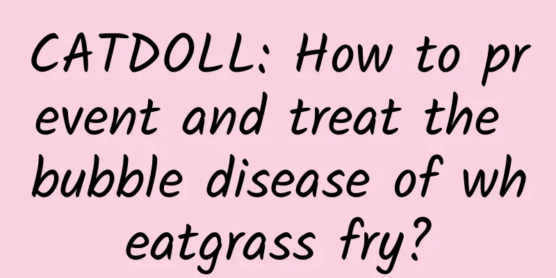 CATDOLL: How to prevent and treat the bubble disease of wheatgrass fry?