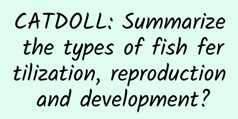 CATDOLL: Summarize the types of fish fertilization, reproduction and development?