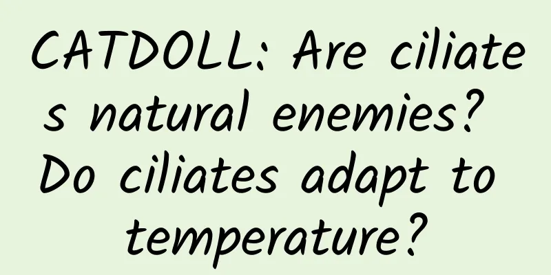 CATDOLL: Are ciliates natural enemies? Do ciliates adapt to temperature?