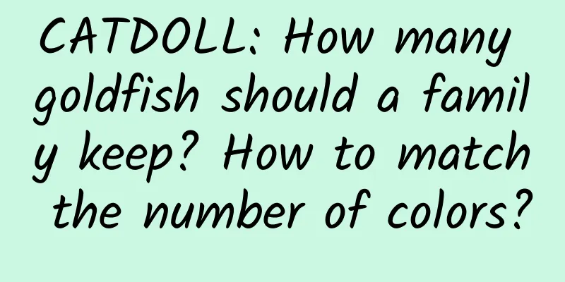 CATDOLL: How many goldfish should a family keep? How to match the number of colors?