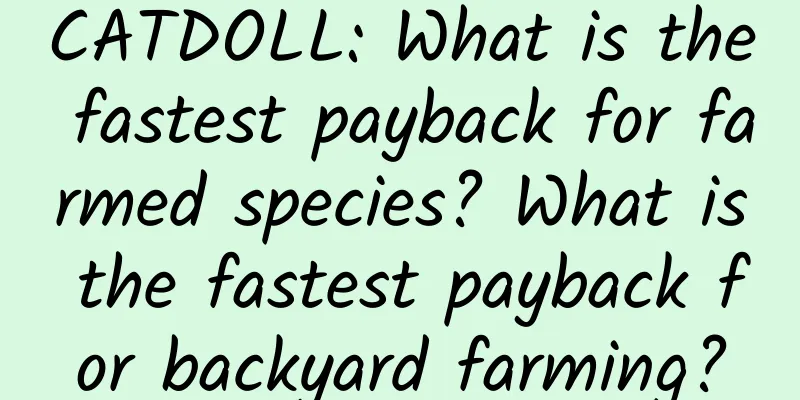 CATDOLL: What is the fastest payback for farmed species? What is the fastest payback for backyard farming?
