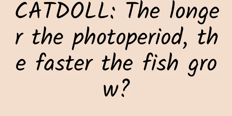 CATDOLL: The longer the photoperiod, the faster the fish grow?