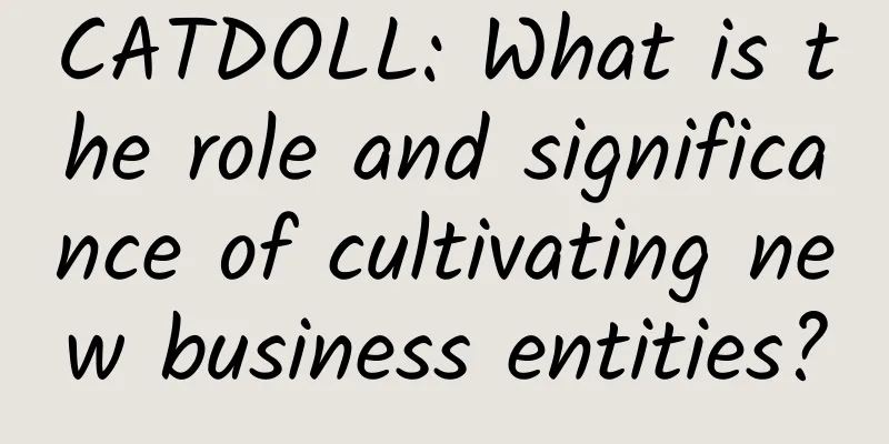 CATDOLL: What is the role and significance of cultivating new business entities?