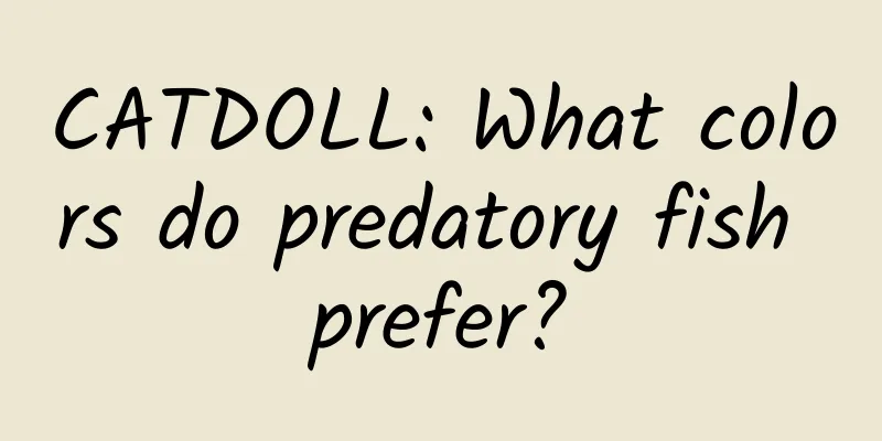 CATDOLL: What colors do predatory fish prefer?