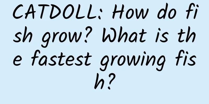 CATDOLL: How do fish grow? What is the fastest growing fish?
